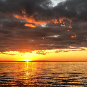 Meet your Posher, Kris